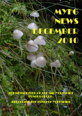 Myfg News Dec 2010