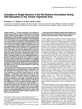 Activation of Single Neurons in the Rat Nucleus Accumbens During Self-Stimulation of the Ventral Tegmental Area