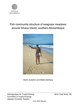 Fish Community Structure of Seagrass Meadows Around Inhaca Island, Southern Mozambique