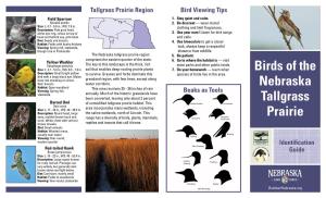 Birds of the Nebraska Tallgrass Prairie
