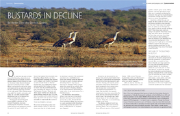 Bustards in Decline Service Is Rarely Acknowledged