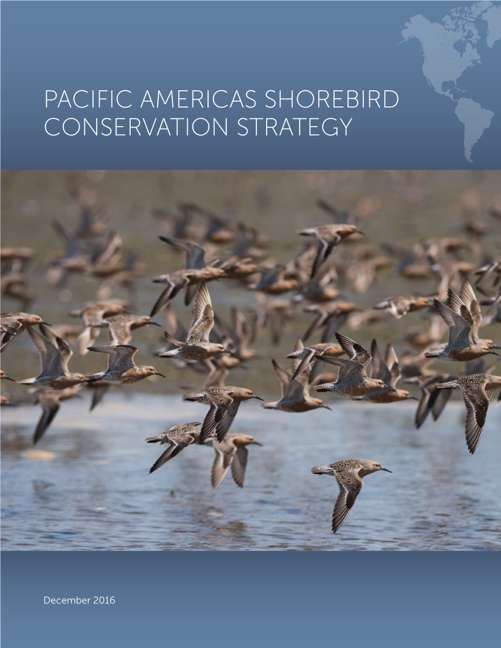 Pacific Americas Shorebird Conservation Strategy