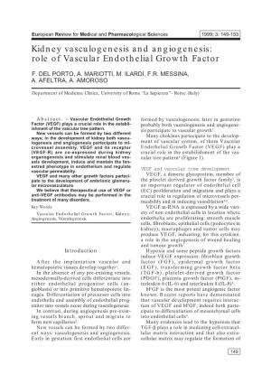 Kidney Vasculogenesis and Angiogenesis: Role of Vascular Endothelial Growth Factor