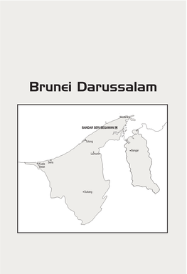 Brunei in 2013 Paradoxes in Image and Performance?
