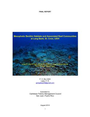 Mesophotic Benthic Habitats and Associated Reef Communities at Lang Bank, St
