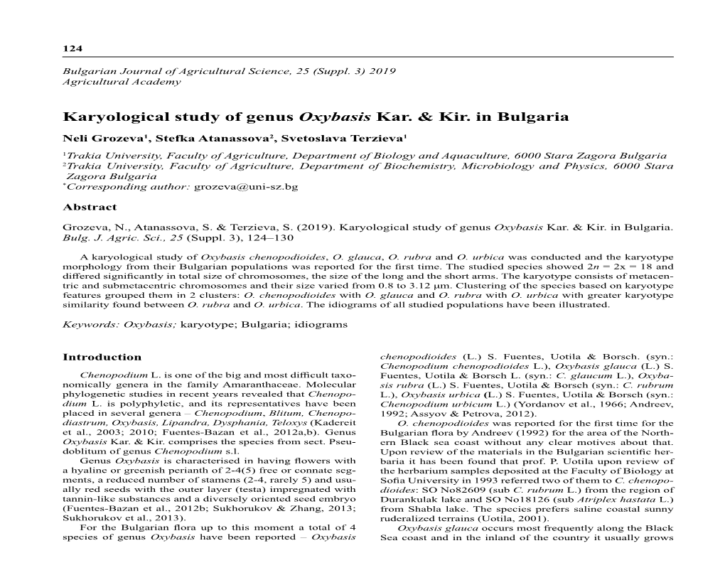 Karyological Study of Genus Oxybasis Kar. & Kir. in Bulgaria