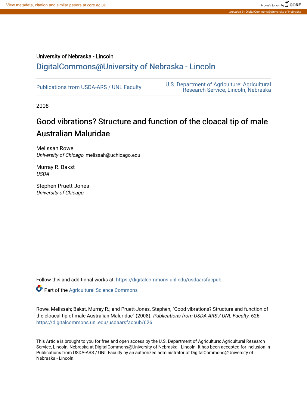 Structure and Function of the Cloacal Tip of Male Australian Maluridae