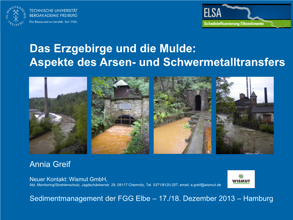 Greif, A. (2013): Das Erzgebirge Und Die Mulde: Aspekte Des Arsen
