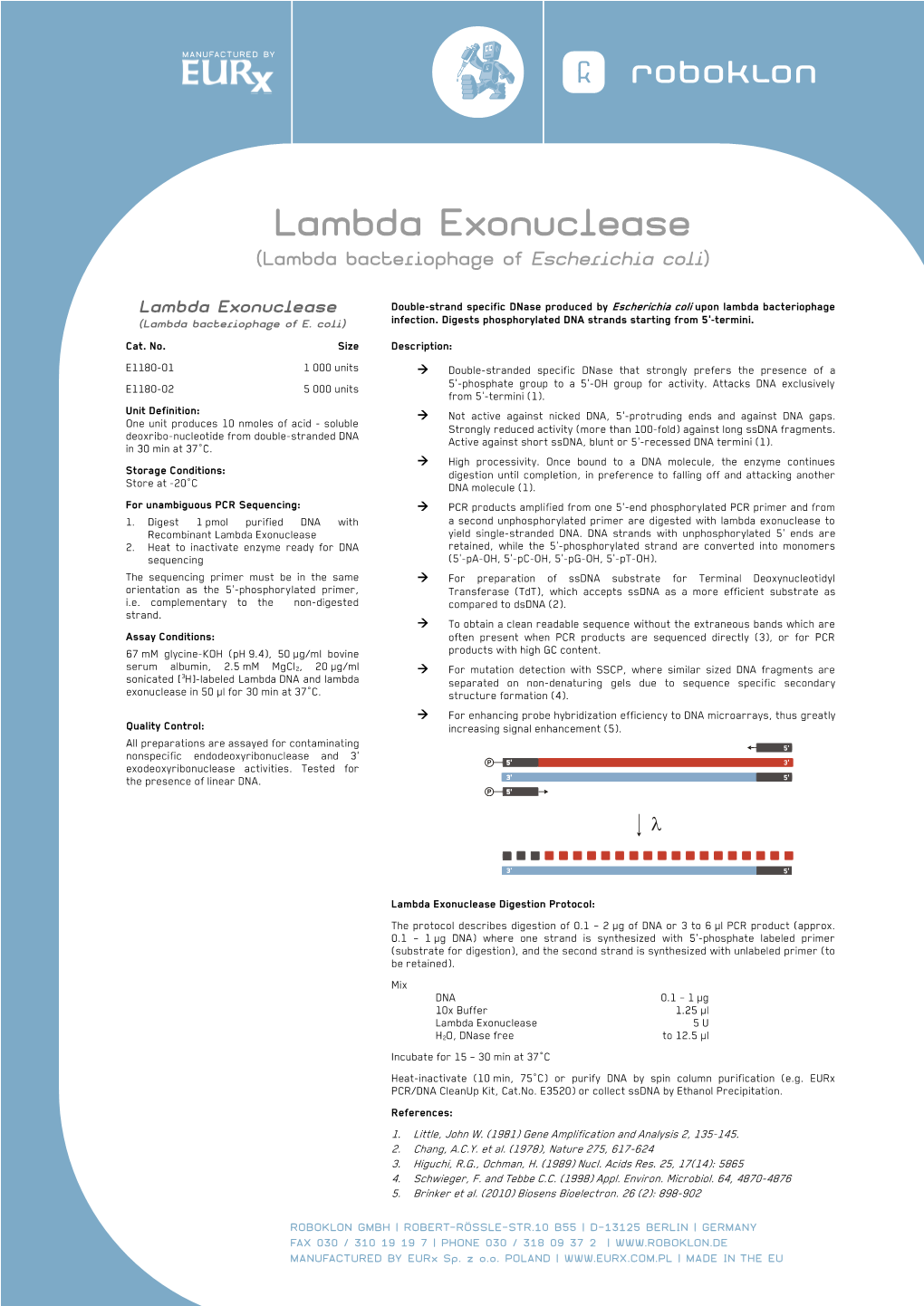 Lambda Exonuclease (Lambda Bacteriophage of Escherichia Coli)