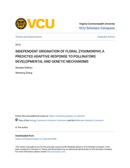 Developmental and Genetic Mechanisms