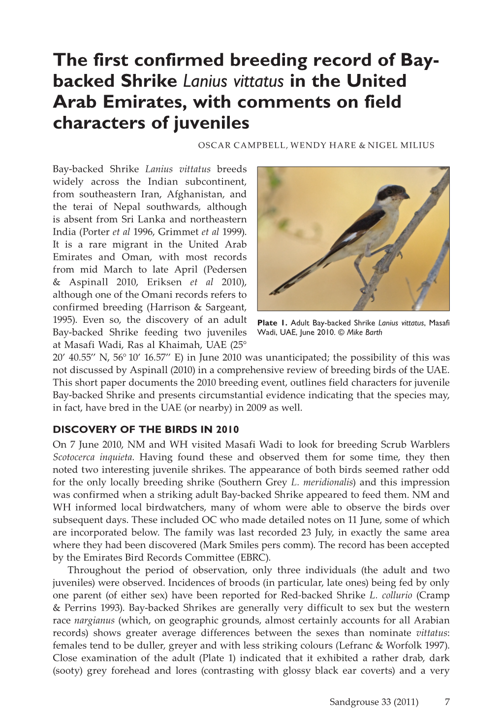 The First Confirmed Breeding Record of Bay- Backed Shrike Lanius Vittatus