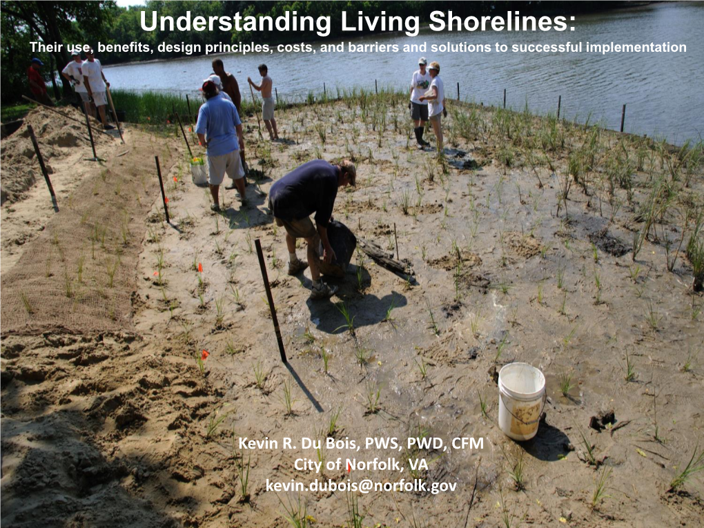 understanding-living-shorelines-their-use-benefits-design-principles