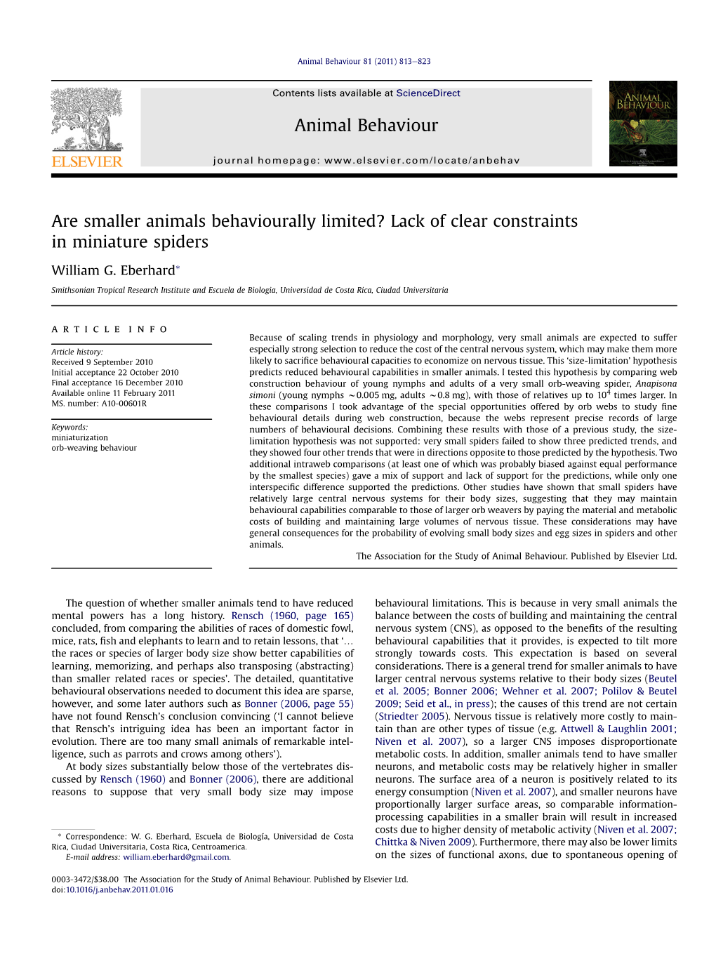 Are Smaller Animals Behaviourally Limited? Lack of Clear Constraints in Miniature Spiders