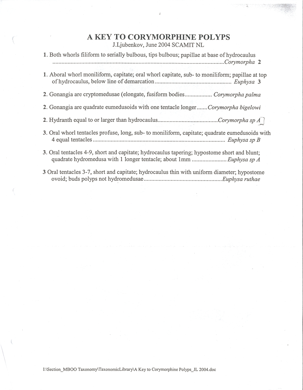 A KEY to CORYMORPHINE POLYPS J.Ljubenkov, June 2004 SCAMIT NL 1