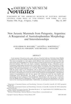 New Jurassic Mammals from Patagonia, Argentina: a Reappraisal of Australosphenidan Morphology and Interrelationships