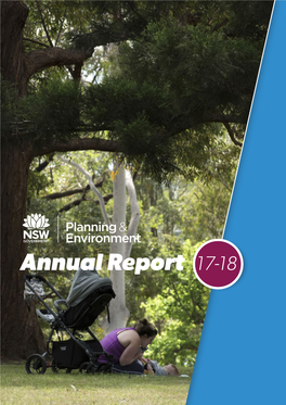 Planning and Environment Annual Report 2017-18
