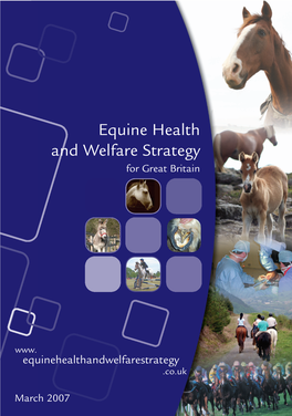 Equine Health and Welfare Strategy , File Type