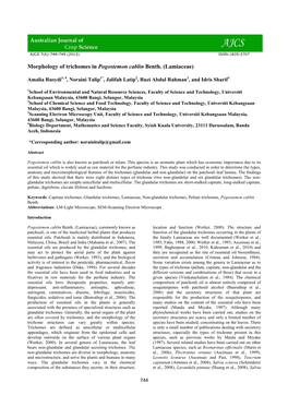 Morphology of Trichomes in Pogostemon Cablin Benth