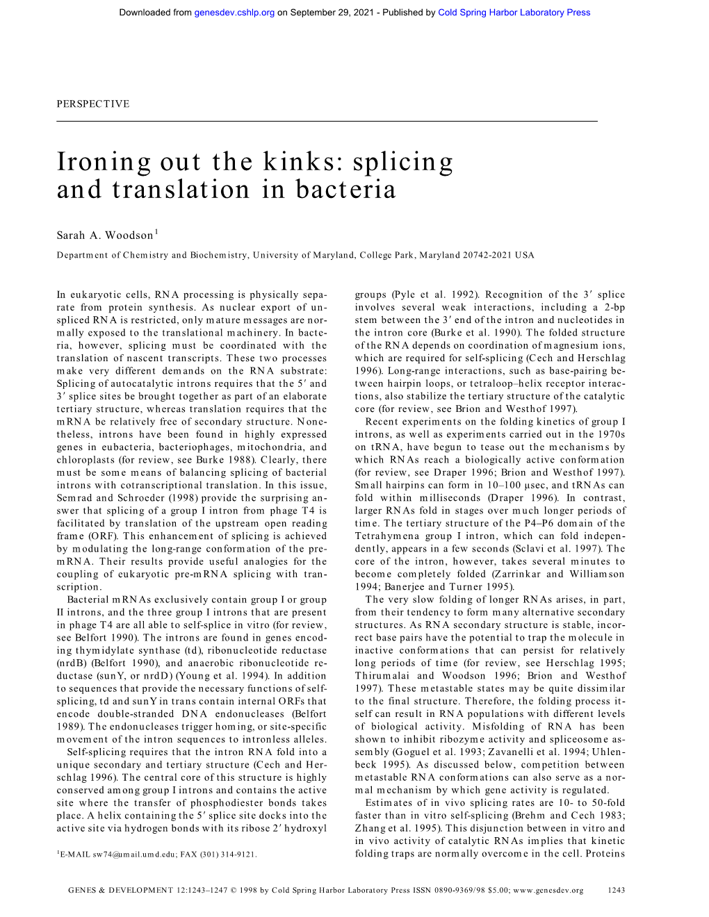 Splicing and Translation in Bacteria