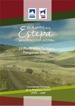25 PLANTAS De La 25 Plants of the Southern Patagonian Steppe
