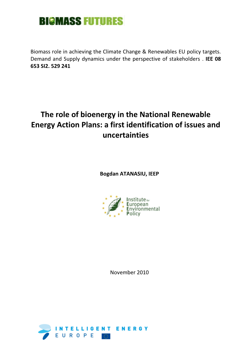 The Role of Bioenergy in the National Renewable Energy Action Plans: a First Identification of Issues and Uncertainties