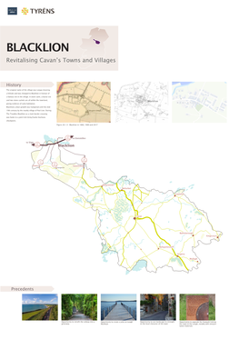 Revitalising Cavan's Towns and Villages