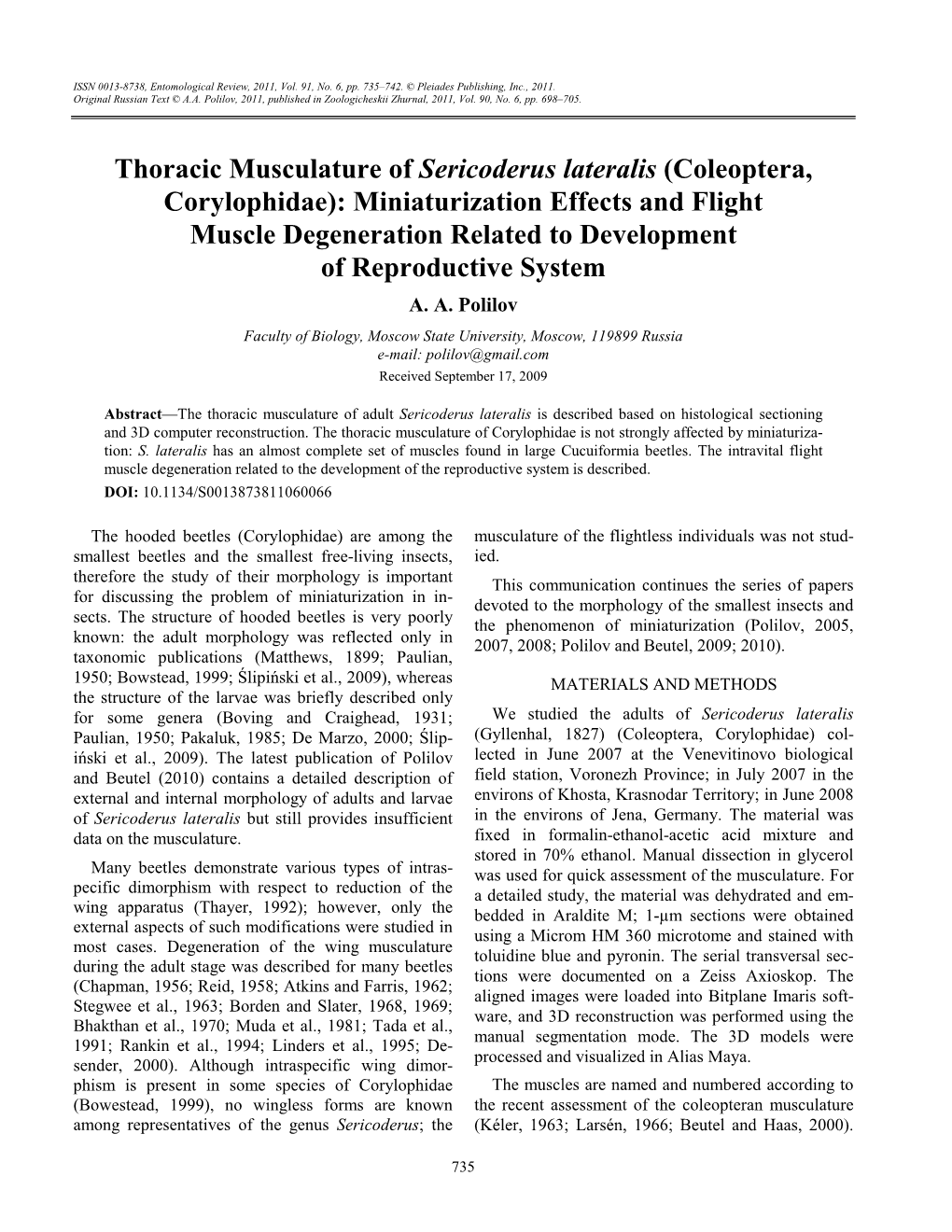 Thoracic Musculature of Sericoderus Lateralis (Coleoptera, Corylophidae): Miniaturization Effects and Flight Muscle Degeneration