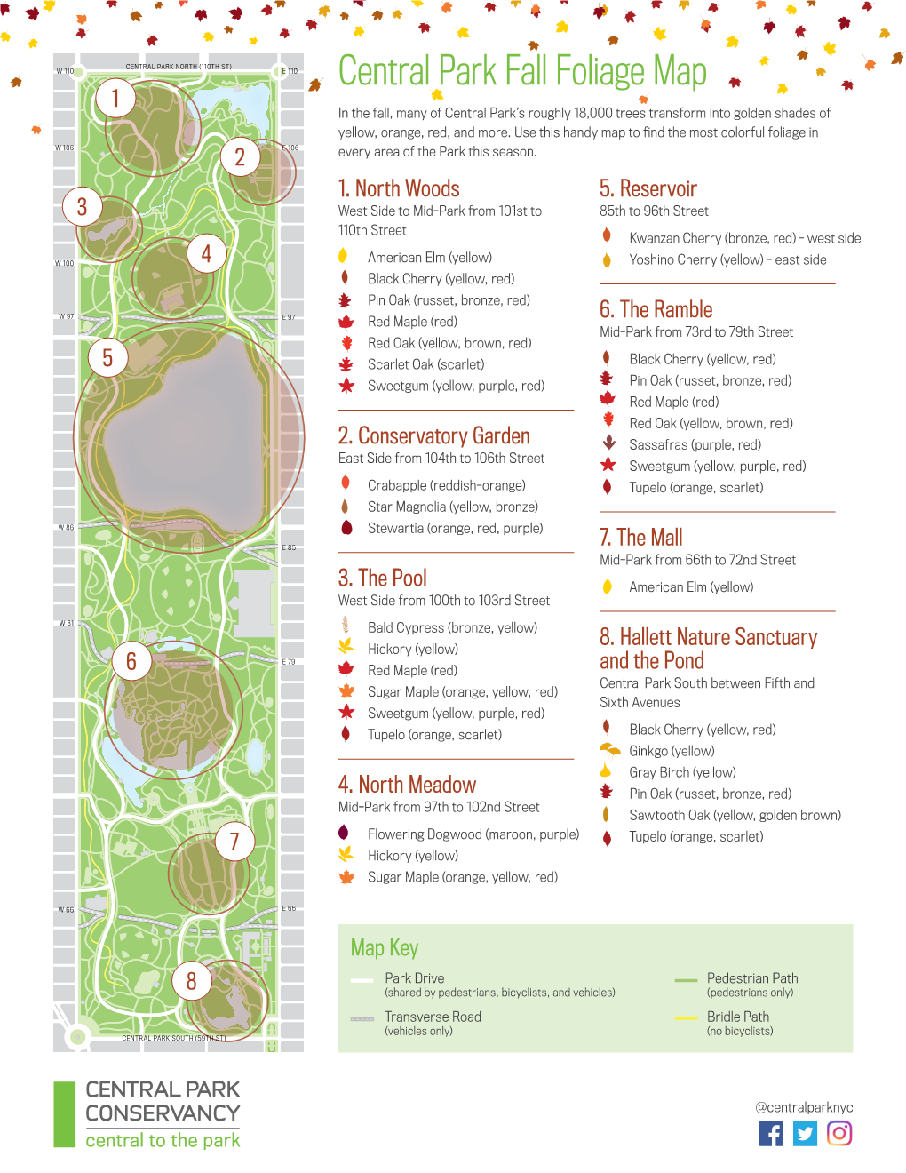 Fall Foliage Map 1 in the Fall, Many of Central Park’S Roughly 18,000 Trees Transform Into Golden Shades of Yellow, Orange, Red, and More