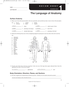 The Language of Anatomy