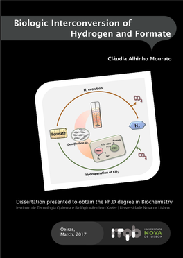 Biologic Interconversion of Hydrogen and Formate