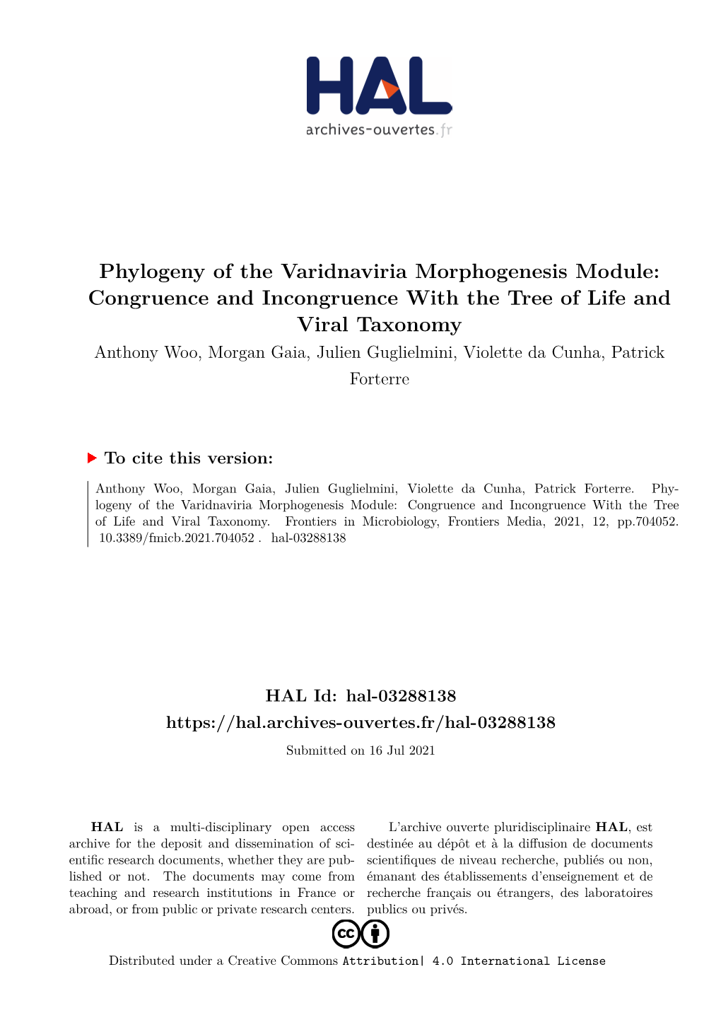 Phylogeny of the Varidnaviria Morphogenesis Module