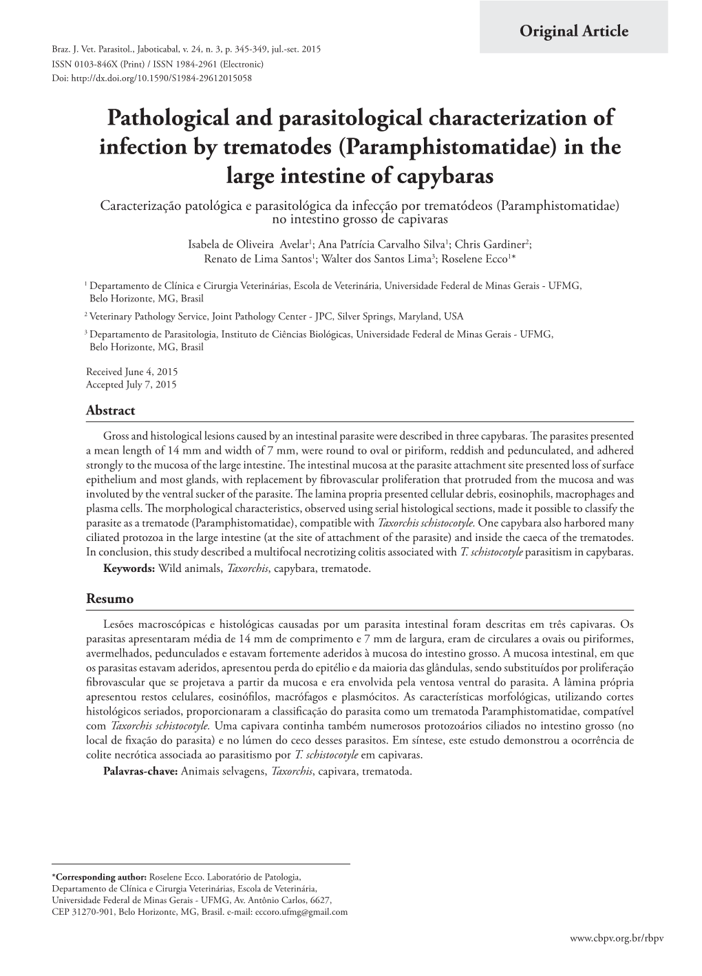 (Paramphistomatidae) in the Large Intestine of Capybaras