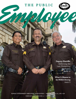 Deputy Sheriffs: Enforcing the Law, Protecting the Public Page 15
