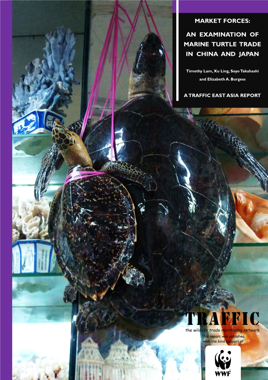 An Examination of Marine Turtle Trade in China and Japan