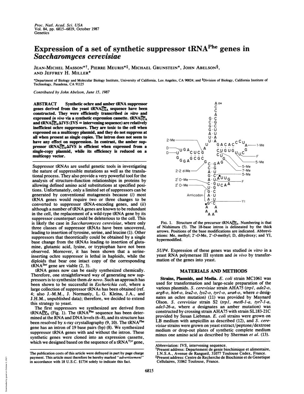 Saccharomyces Cerevisiae JEAN-MICHEL MASSON*T, PIERRE MEURIS**, MICHAEL GRUNSTEIN*, JOHN ABELSON§, and JEFFREY H