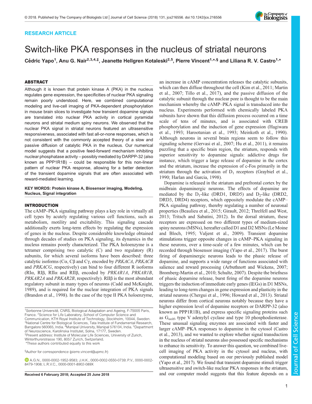 Switch-Like PKA Responses in the Nucleus of Striatal Neurons Cédric Yapo1, Anu G