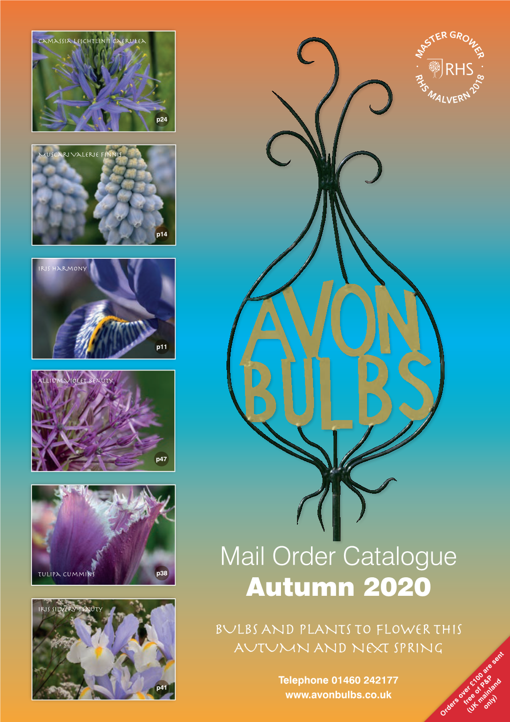 Mail Order Catalogue Autumn 2020 Avon Bulbs Chris Ireland-Jones Chris