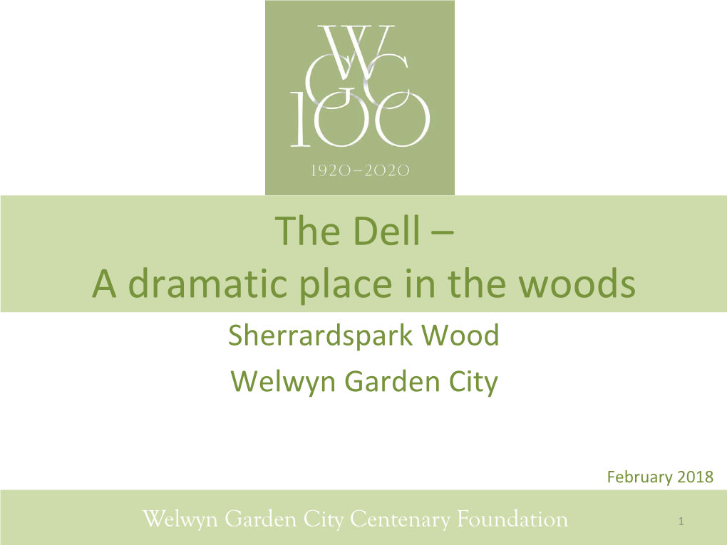 The Dell – a Dramatic Place in the Woods Sherrardspark Wood Welwyn Garden City