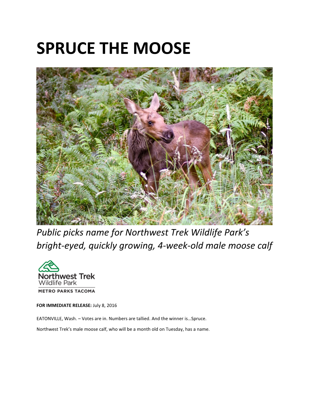 Spruce the Moose