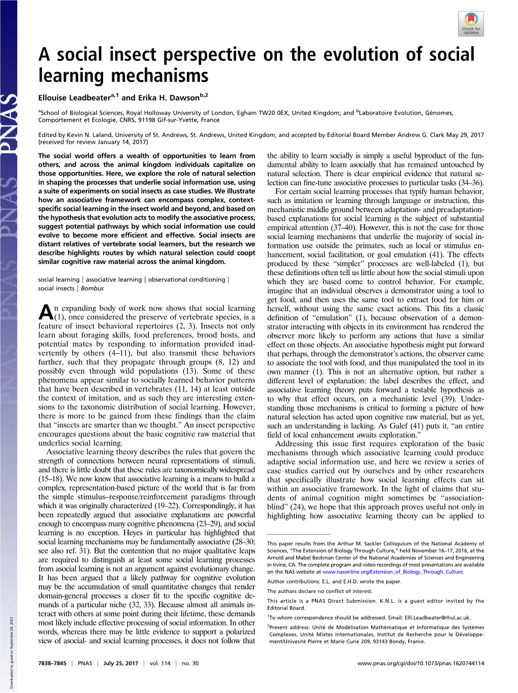 A Social Insect Perspective on the Evolution of Social Learning Mechanisms