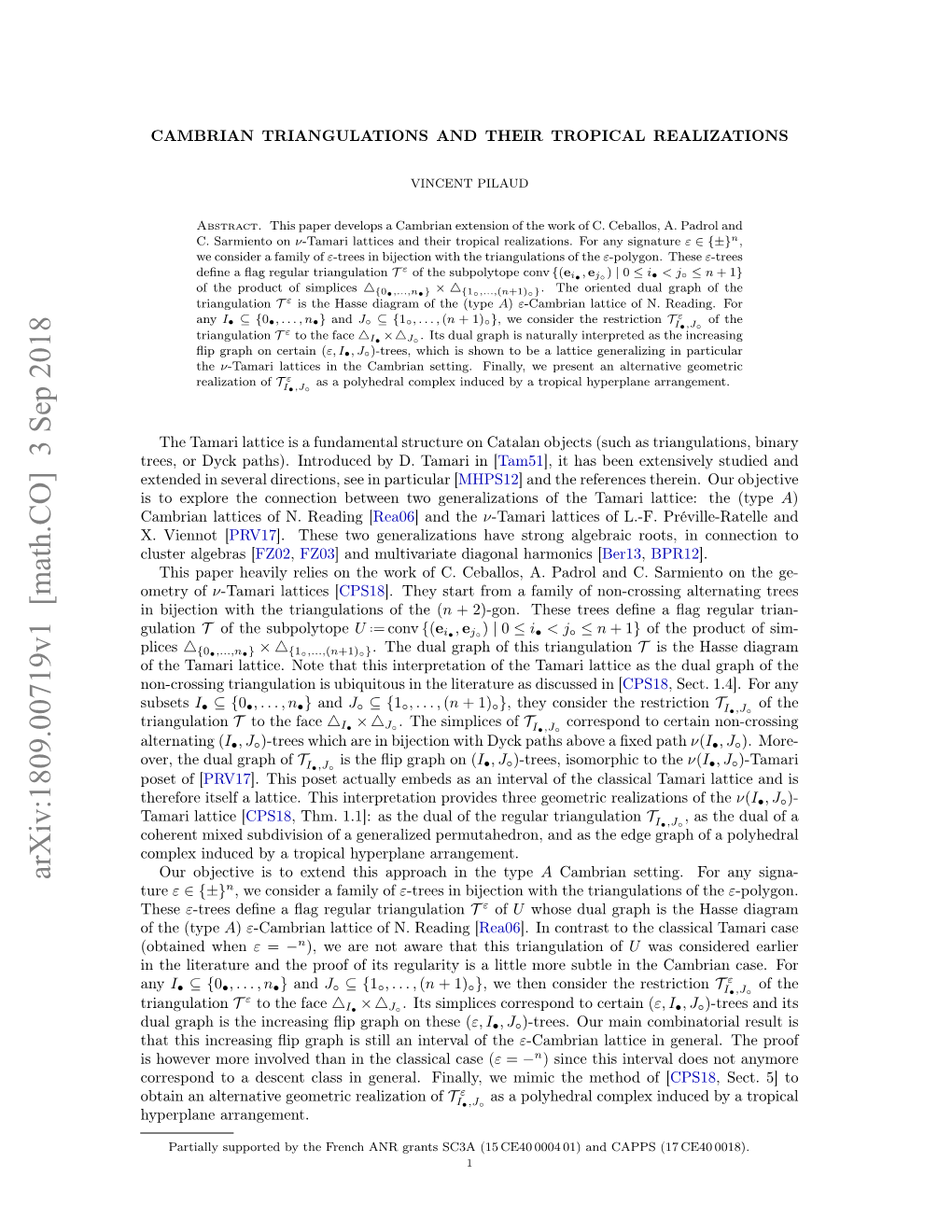 Cambrian Triangulations and Their Tropical Realizations