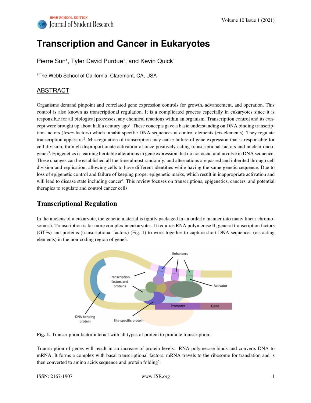 Transcription and Cancer in Eukaryotes