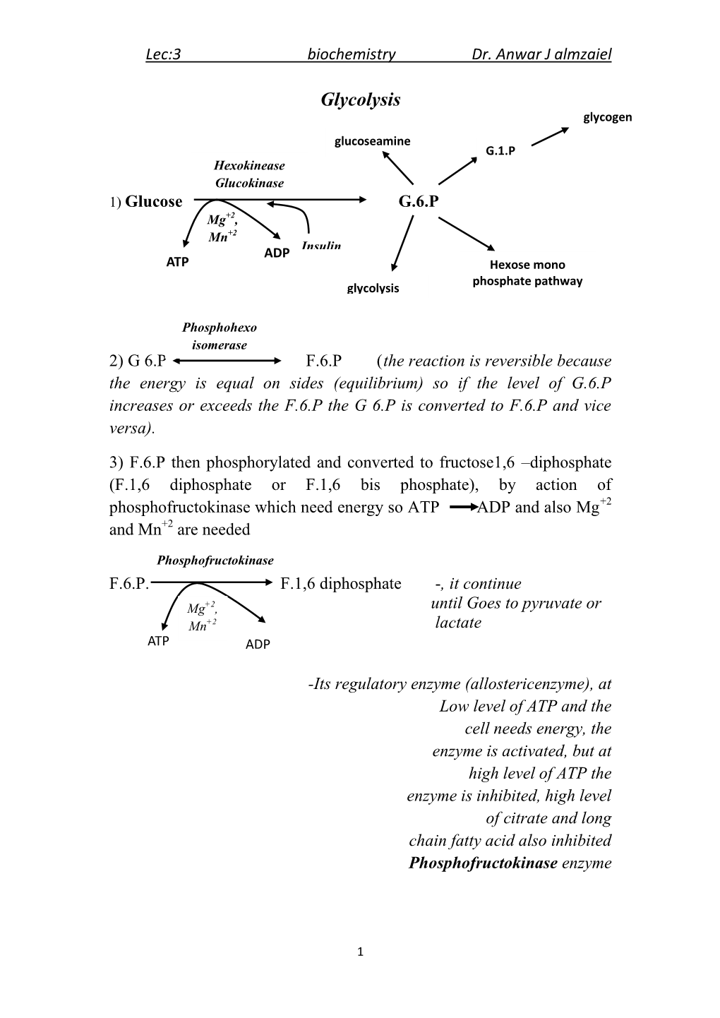 Biochemistry Dr. Anwar J Almzaiel 3Lec