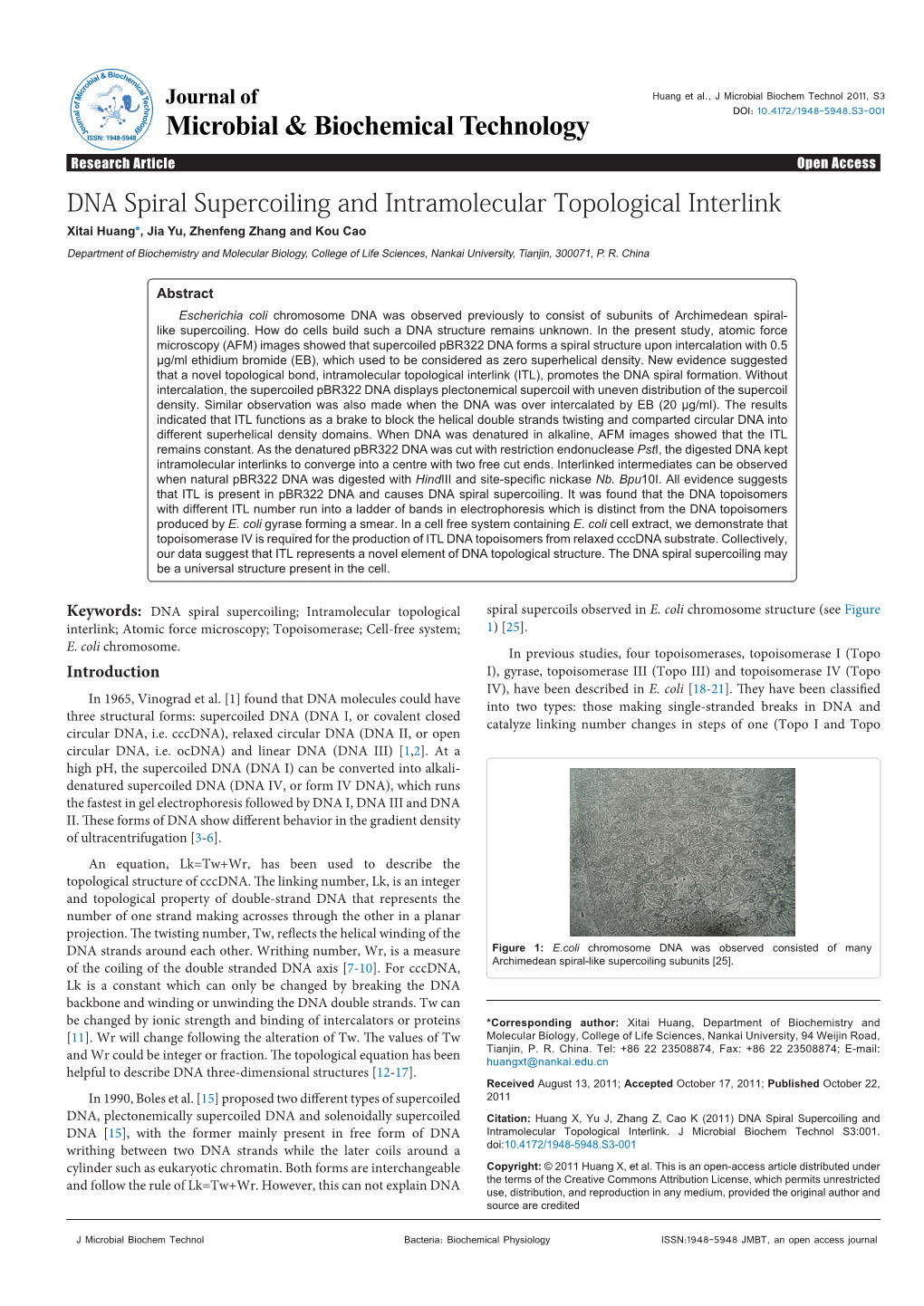 DNA Spiral Supercoiling and Intramolecular Topological Interlink