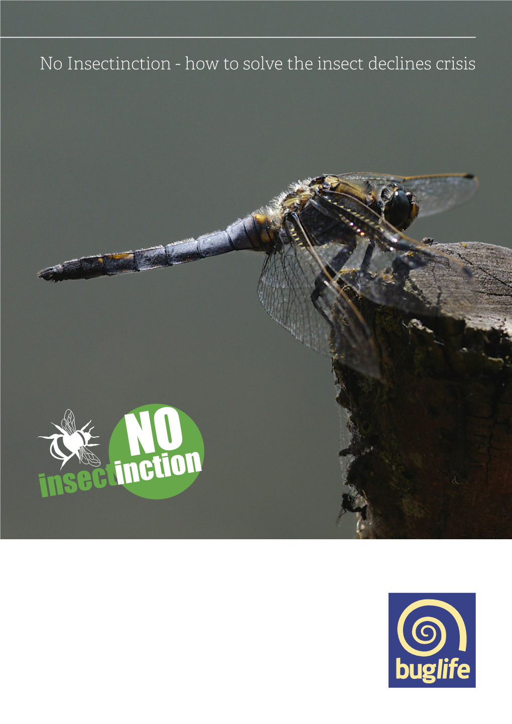 No Insectinction - How to Solve the Insect Declines Crisis Introduction from Steve Backshall MBE No Insectinction - How to Solve the Insect Declines Crisis