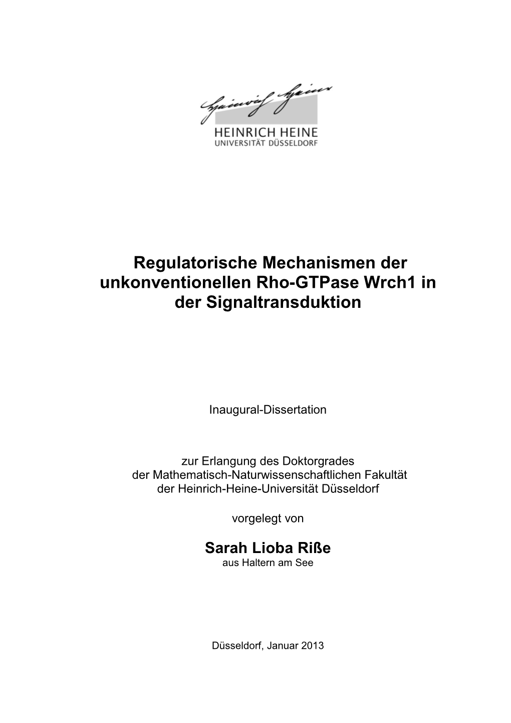 Regulatorische Mechanismen Der Unkonventionellen Rho-Gtpase Wrch1 in Der Signaltransduktion