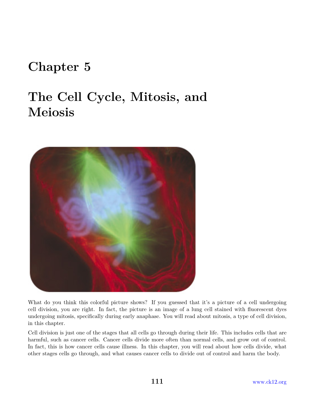 Chapter 5 the Cell Cycle, Mitosis, and Meiosis