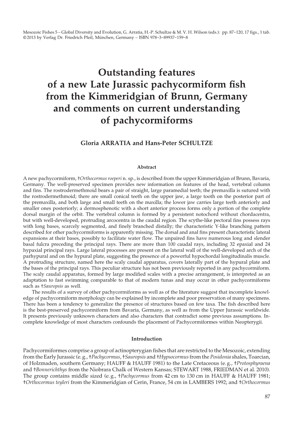 Outstanding Features of a New Late Jurassic Pachycormiform Fish From