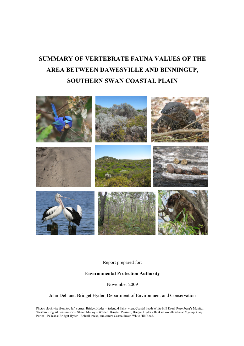 Summary of Vertebrate Fauna Values of the Area Between Dawesville and Binningup, Southern Swan Coastal Plain
