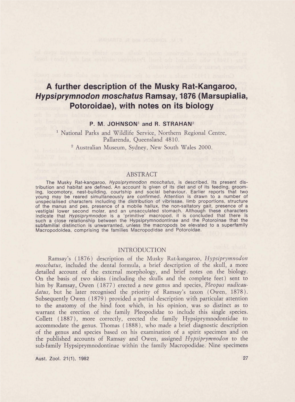 A Further Description of the Musky Rat-Kangaroo, Hypsiprymnodon Moschafus Ramsay, 1876 (Marsupialia, Potoroidae), with Notes on Its Biology